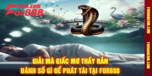 Giải mã giấc mơ thấy rắn - Đánh số gì để phát tài tại for888