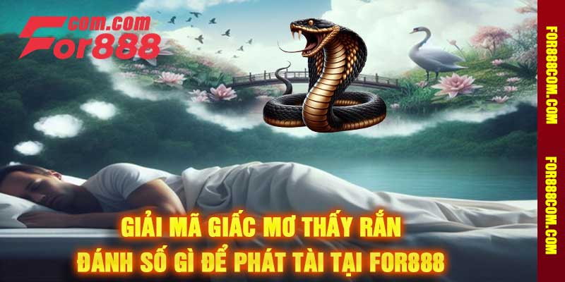 Giải mã giấc mơ thấy rắn - Đánh số gì để phát tài tại for888