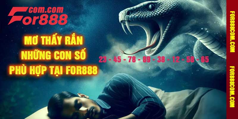 Mơ thấy rắn Những con số phù hợp tại For888